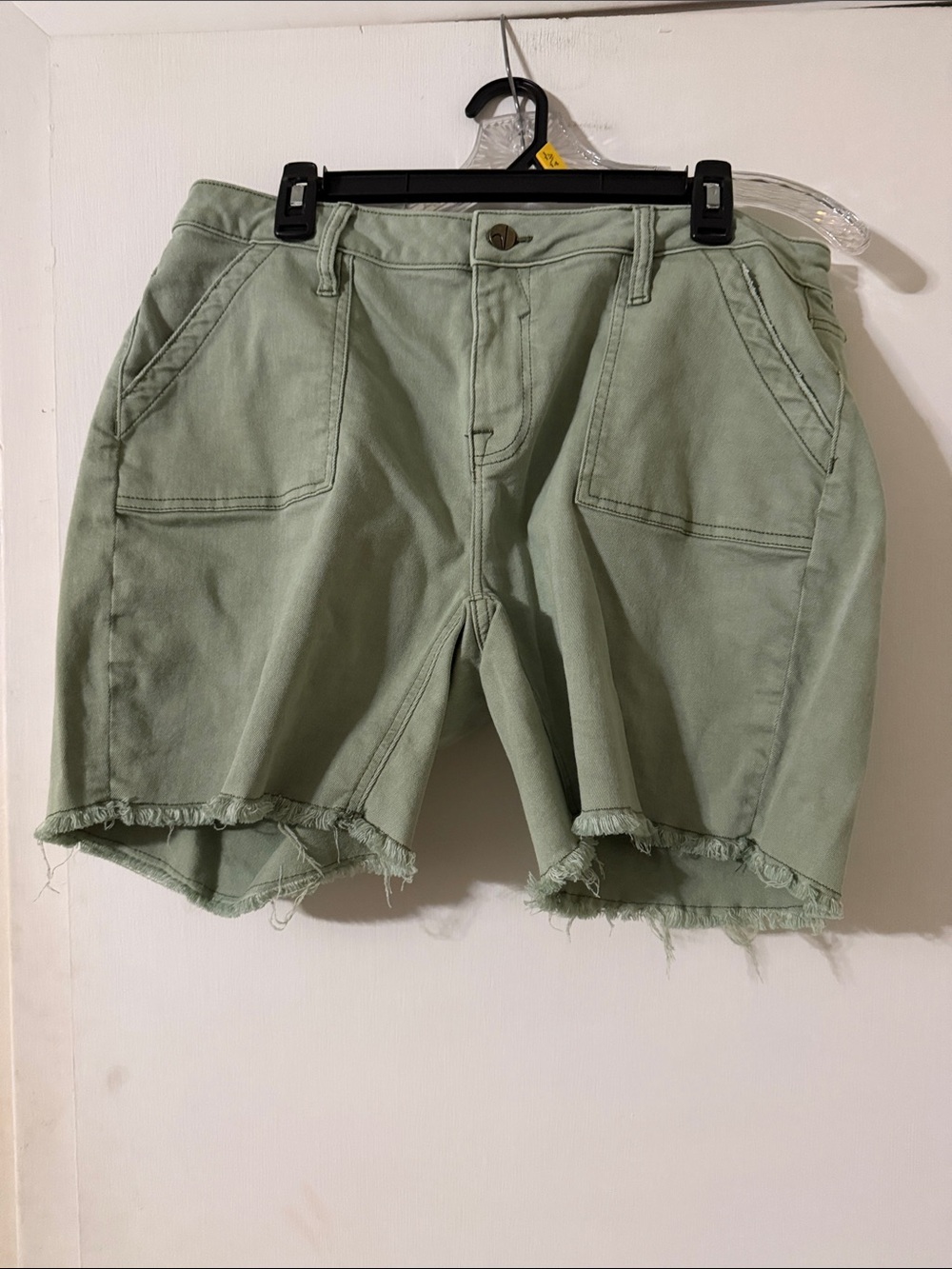 Vigoss Light Sage Green High-Rise Denim Cutoff Shorts